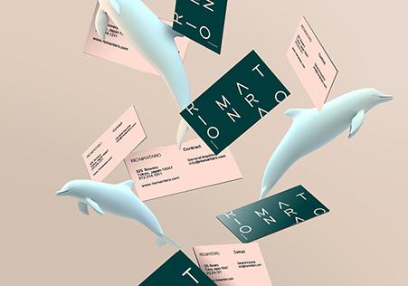  RIO MANTARO-LOGO设计